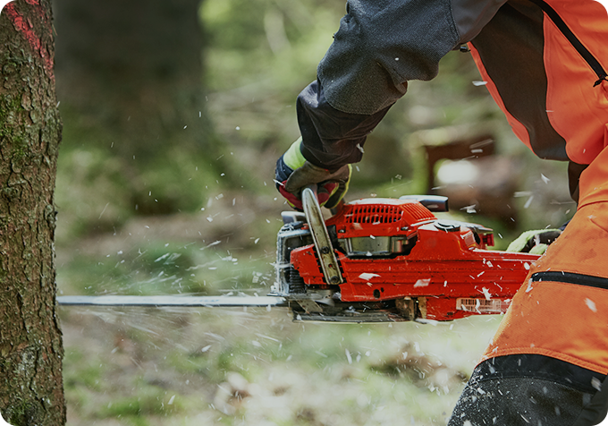 株式会社早稲田技研の伐採事業