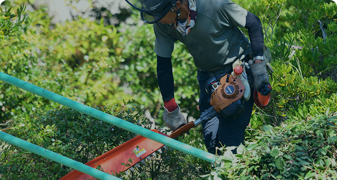 株式会社早稲田技研 庭木剪定