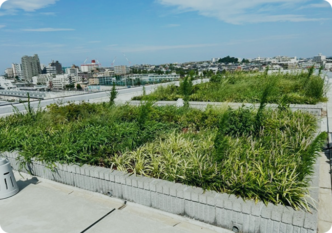 株式会社早稲田技研の屋上菜園事業