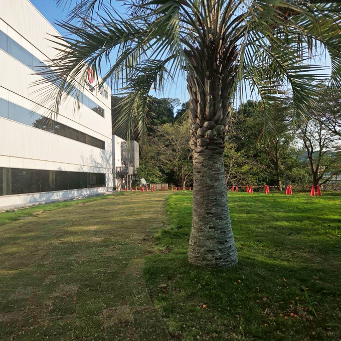 株式会社早稲田技研の事業実績2