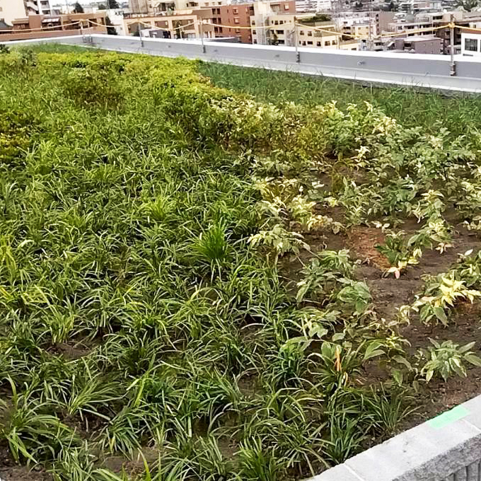 株式会社早稲田技研の事業実績3