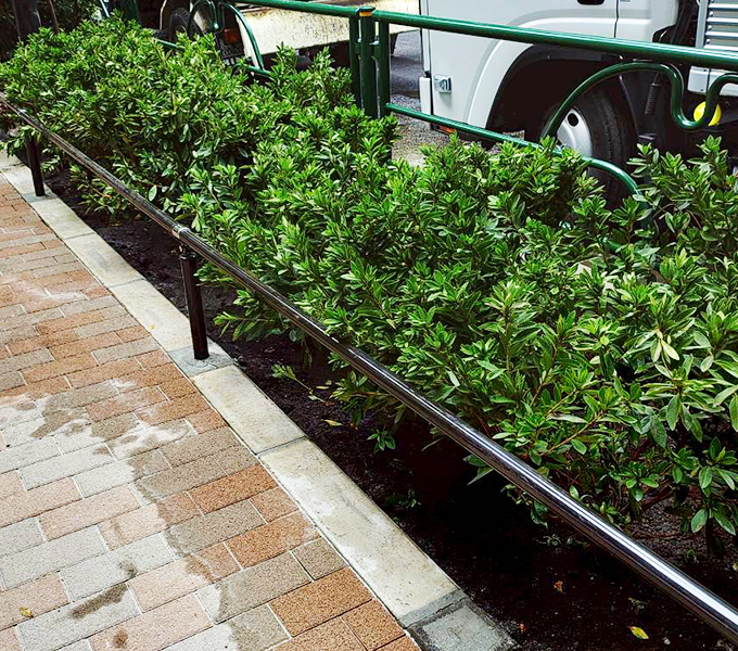 株式会社早稲田技研の事業実績 植栽工事