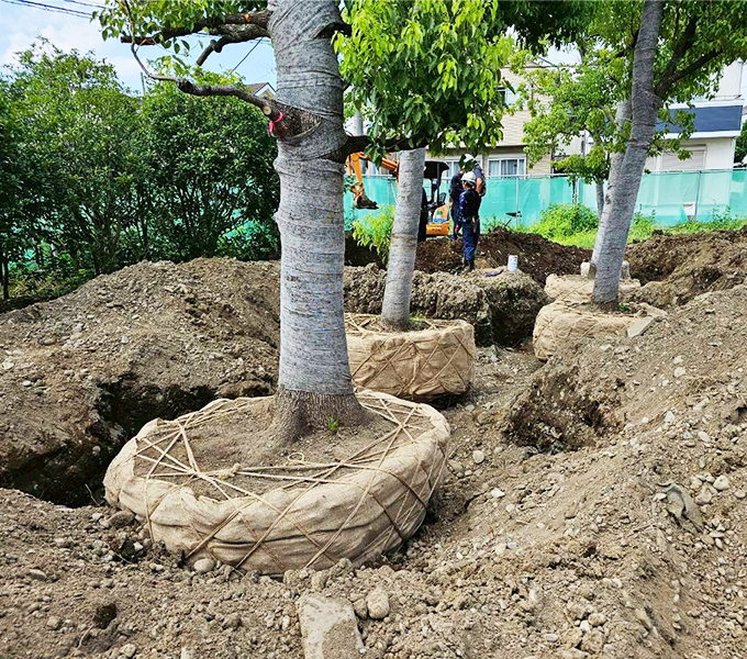 株式会社早稲田技研の事業実績 植栽工事