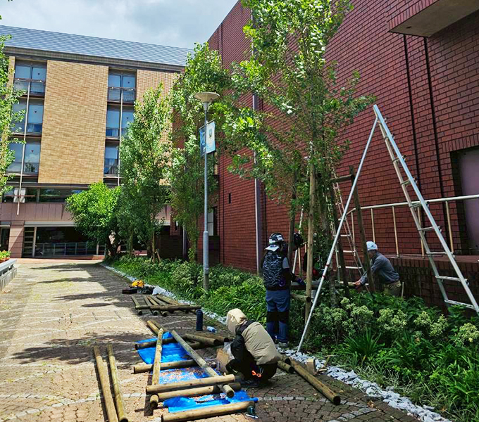 株式会社早稲田技研の事業実績 植栽工事